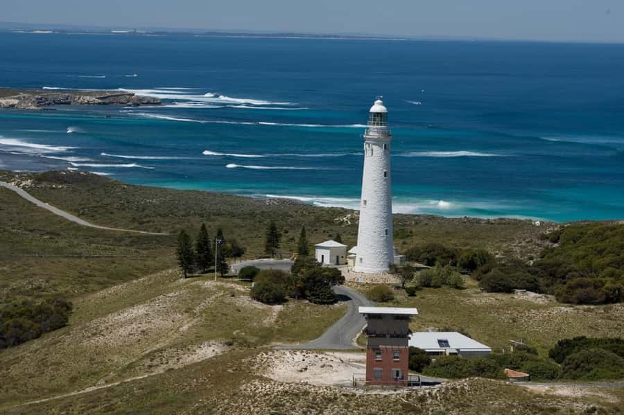From Fremantle: Rottnest Island Ferry & Bus Day Tour - Who should book this Rottnest day trip?