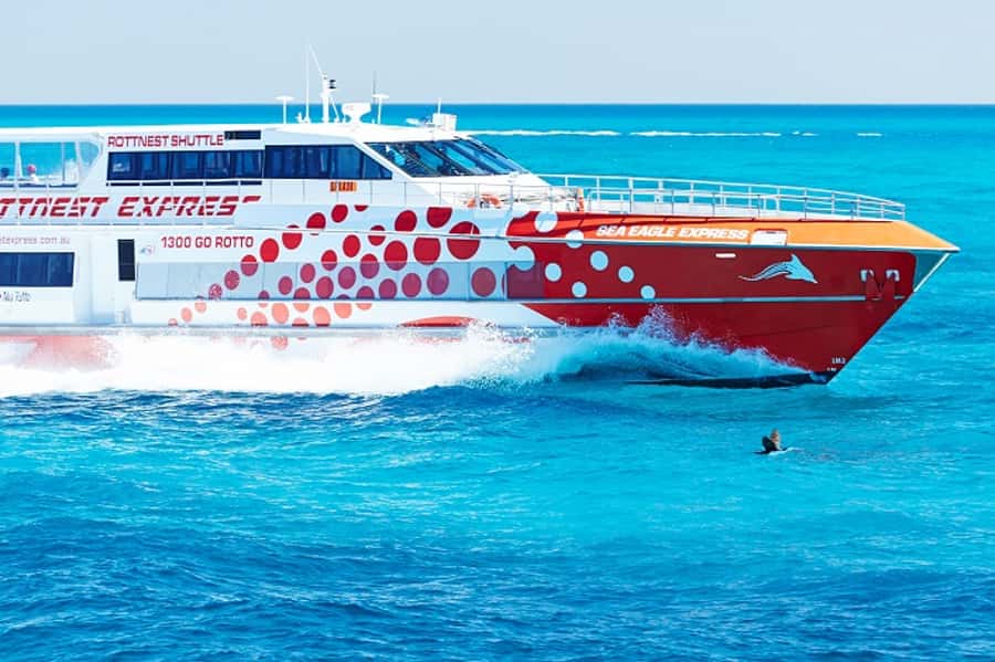 From Fremantle: Rottnest Island Ferry & Bus Day Tour - Why the bus works so well on Rottnest