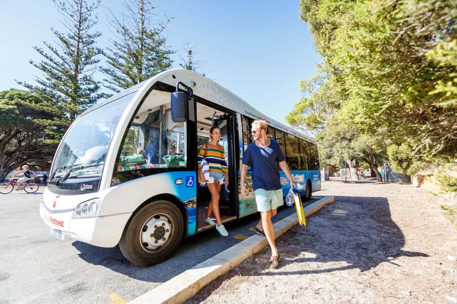 From Fremantle: Rottnest Island Ferry & Bus Day Tour - The 90-minute island circuit