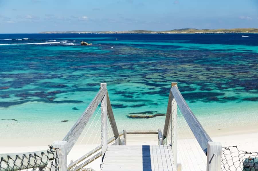 From Fremantle: Rottnest Island Ferry & Bus Day Tour - Free time for swimming, lunch, or a bike