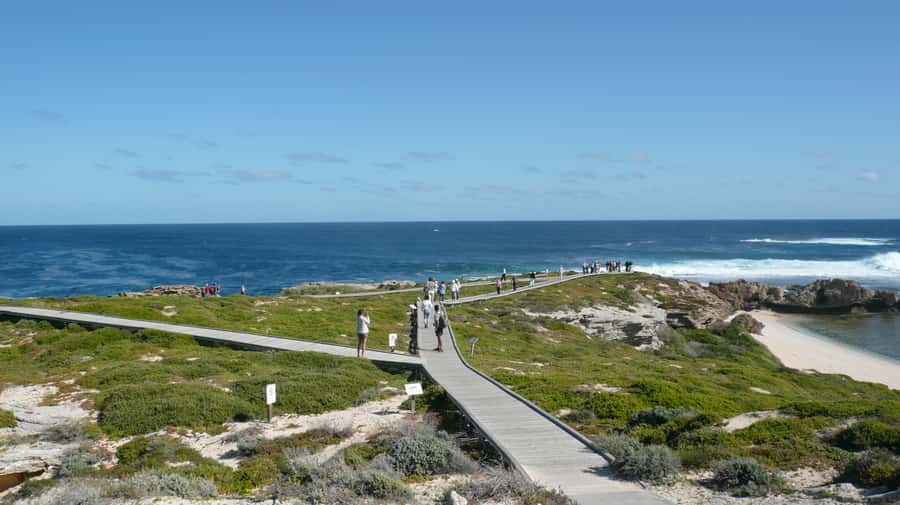 From Fremantle: Rottnest Island Ferry & Bus Day Tour - From Victoria Quay to Rottnest Island