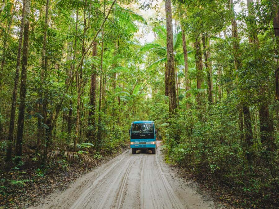 From Hervey Bay: K'gari, Fraser Island Full-Day Coach Tour - Lake McKenzie, the day’s essential swim