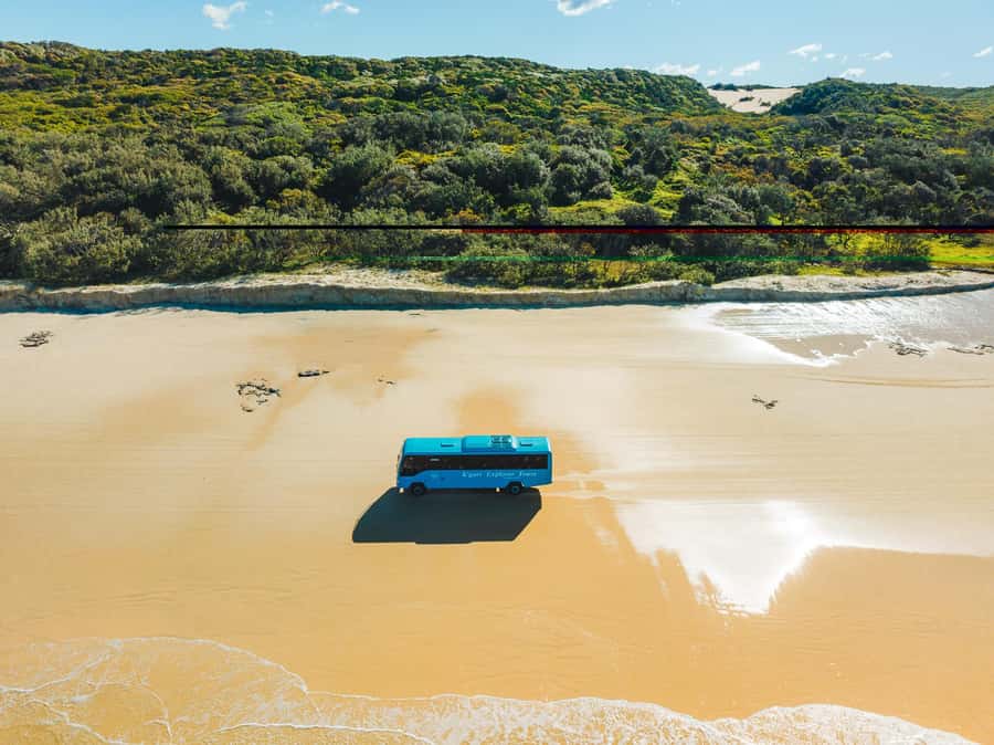 From Hervey Bay: K'gari, Fraser Island Full-Day Coach Tour - 75 Mile Beach, Eli Creek, and the Maheno Shipwreck