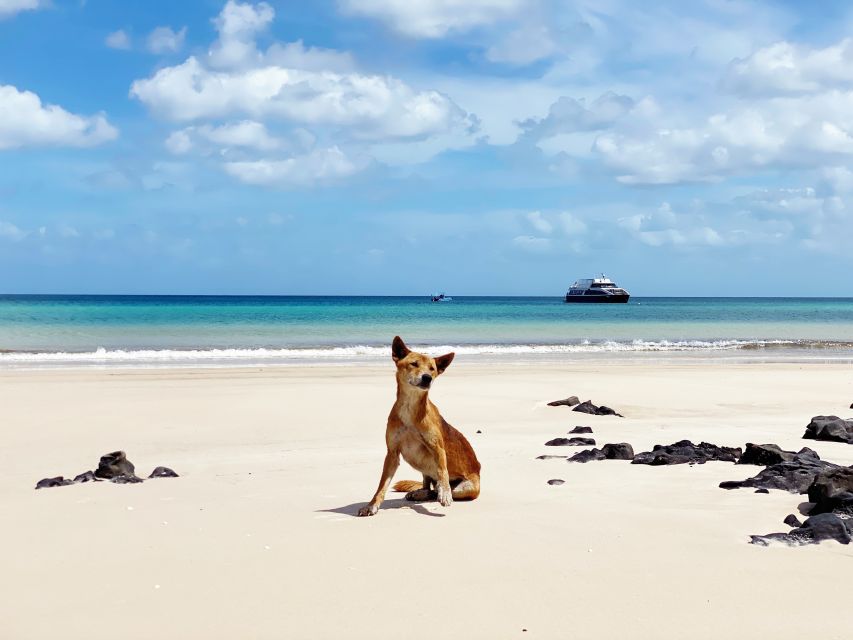 From Hervey Bay: Remote K'gari Tour by Boat with Lunch - Lunch aboard the boat keeps the day moving