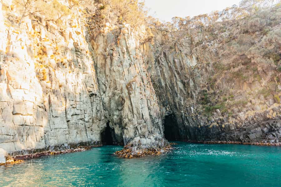 From Hobart/Adventure Bay: Bruny Island Wilderness Cruise - Why Bruny Island is worth seeing from the sea