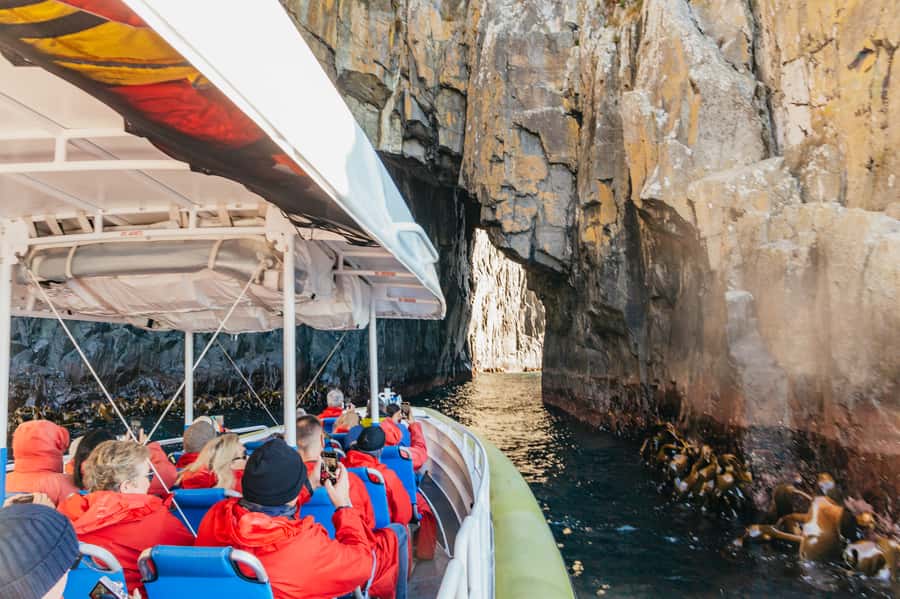 From Hobart/Adventure Bay: Bruny Island Wilderness Cruise - The yellow boat and what the ride feels like