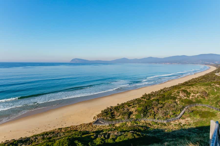From Hobart/Adventure Bay: Bruny Island Wilderness Cruise - Wildlife at the Friars and beyond