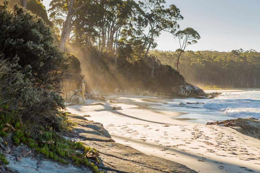 From Hobart: Full-Day Bruny Island Tour with Guide - Key points before you book