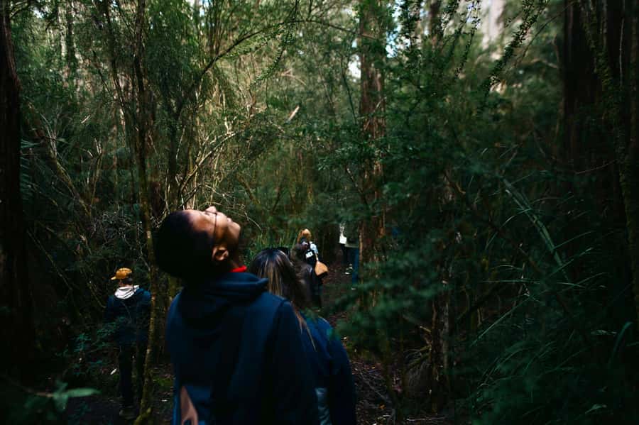 From Hobart: Full-Day Bruny Island Tour with Guide - Forest walks, beaches, and quiet water