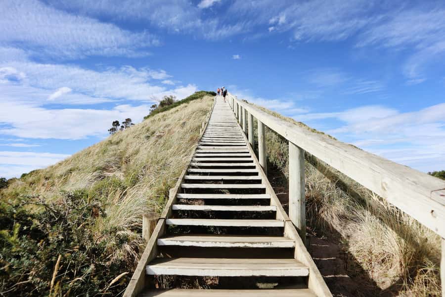 From Hobart: Full-Day Bruny Island Tour with Guide - Honey, chocolate, oysters, and other local produce