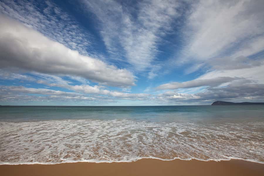 From Hobart: Full-Day Bruny Island Tour with Guide - The guides are a major part of the value