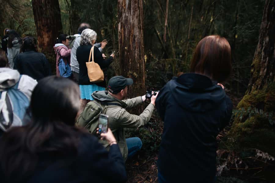 From Hobart: Full-Day Bruny Island Tour with Guide - Starting in Hobart and crossing to Bruny