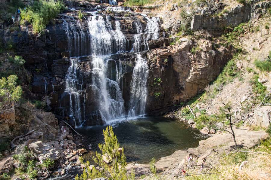 From Melbourne: 2-Day Great Ocean Road & Grampians Escape - Halls Gap starts day two with wildlife