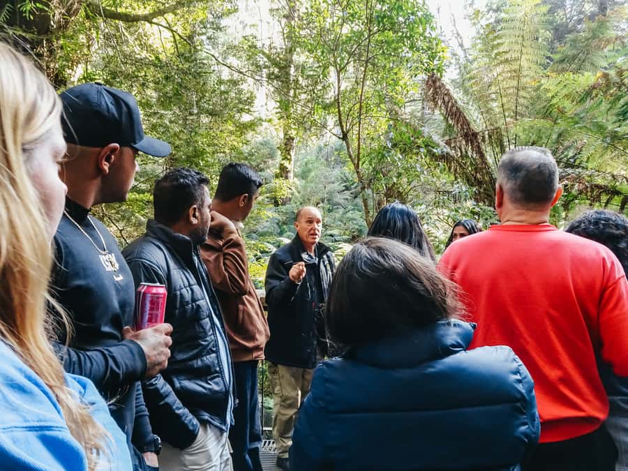 From Melbourne: Great Ocean Road, 12 Apostles, Wildlife Tour - Apollo Bay gives you a practical lunch break