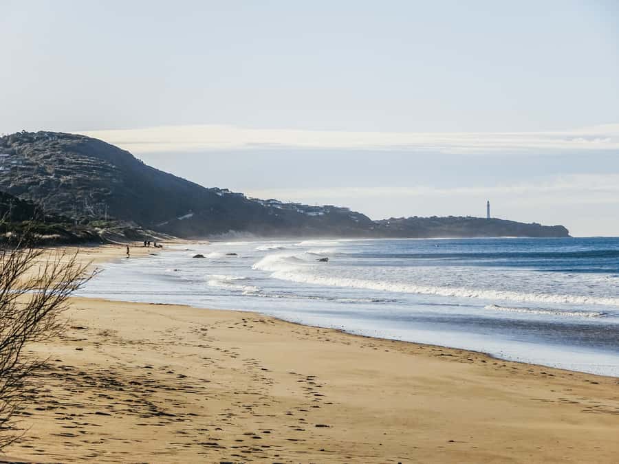 From Melbourne: Great Ocean Road, 12 Apostles, Wildlife Tour - The 12 Apostles are the main event