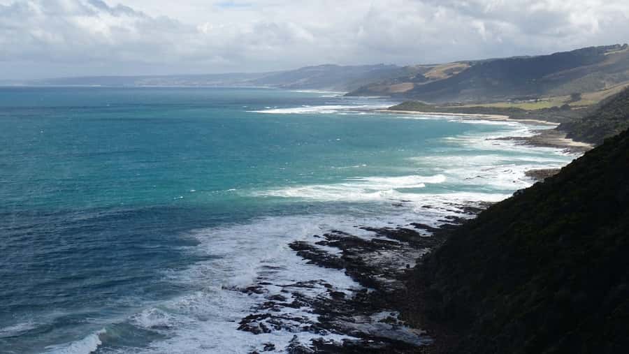 From Melbourne: Great Ocean Road, 12 Apostles, Wildlife Tour - The forest walk brings a different kind of scenery