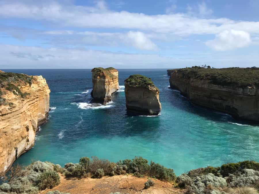 From Melbourne: Great Ocean Road Boutique Tour in Reverse - Finding koalas and kangaroos in the wild