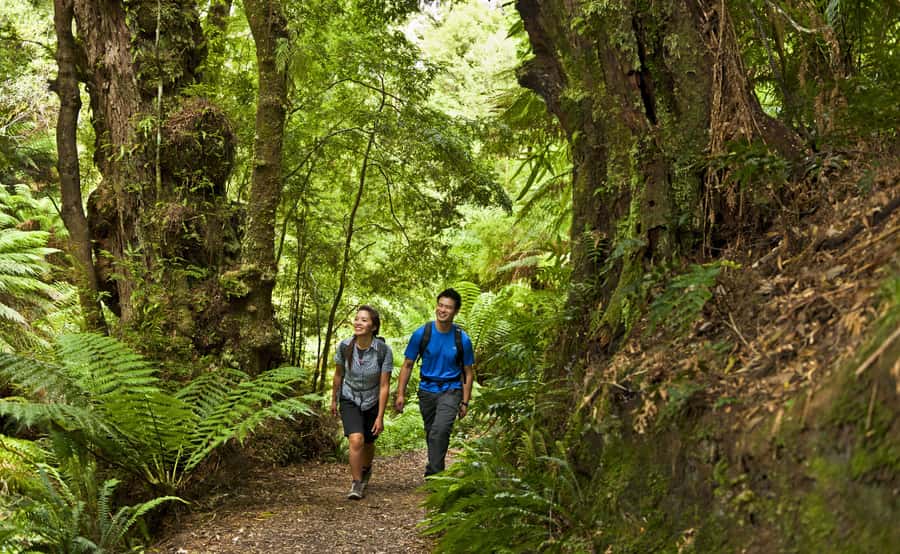 From Melbourne: Great Ocean Road Full-Day Guided Trip - Gibson Steps puts you below the cliffs