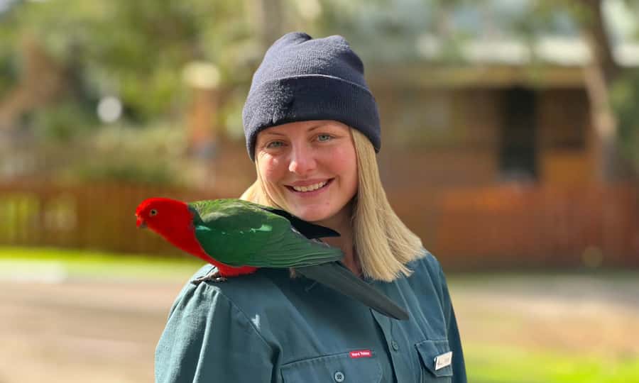 From Melbourne: Great Ocean Road Full-Day Sunset Tour - Food, comfort, and what to bring