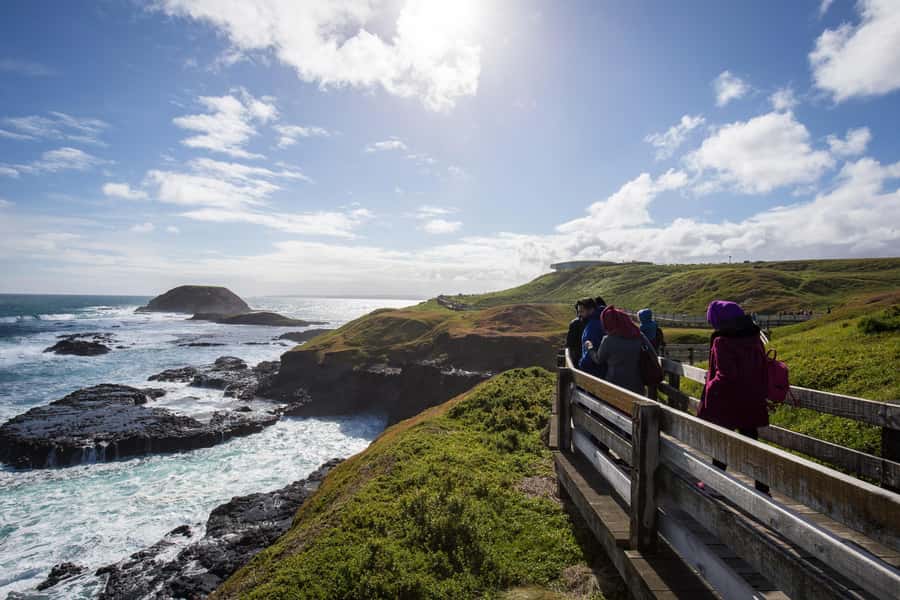 From Melbourne: Penguin Parade, Koalas & Kangaroos - Meals are simple and self-funded
