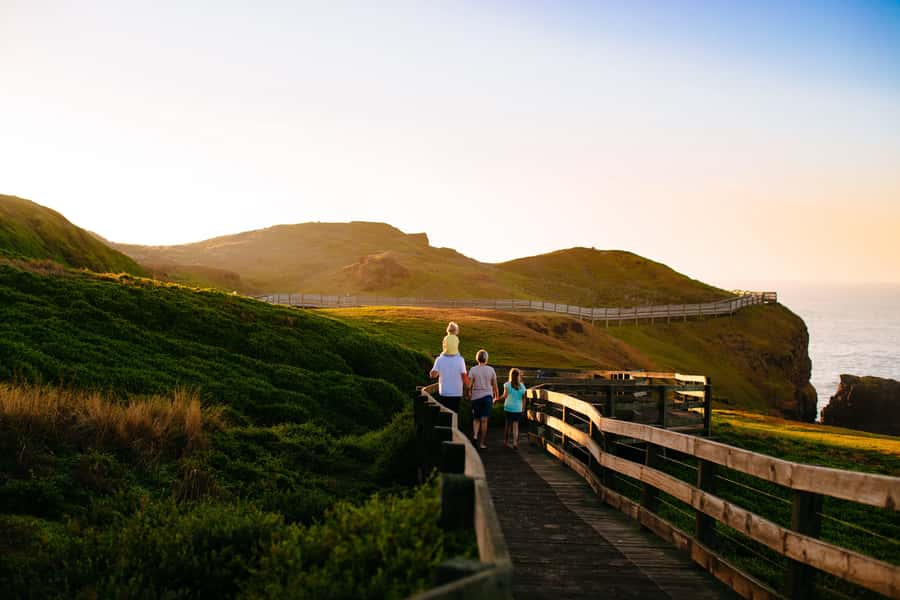 From Melbourne: Penguins and Wildlife Nature Day Tour - Why the penguin parade is the main event