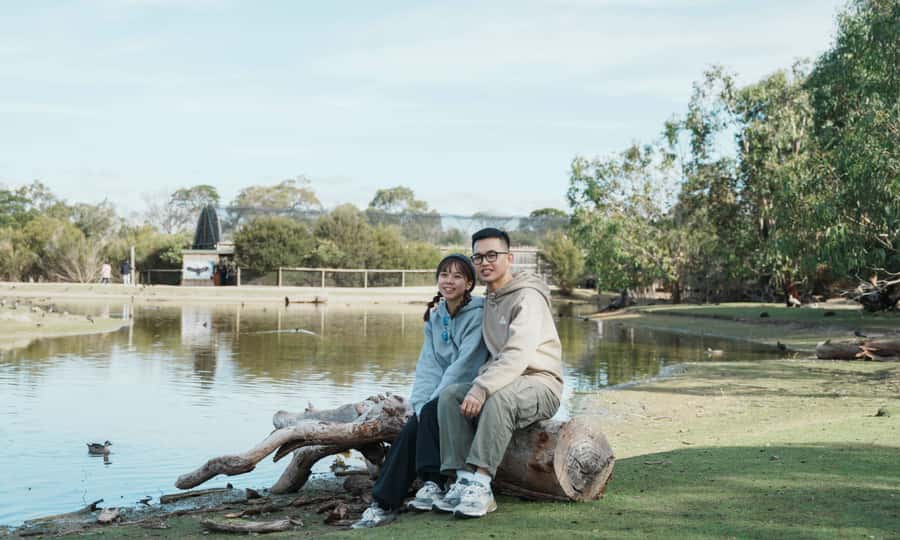From Melbourne: Phillip Island Penguin Parade Eco Tour - How the $109 price works out