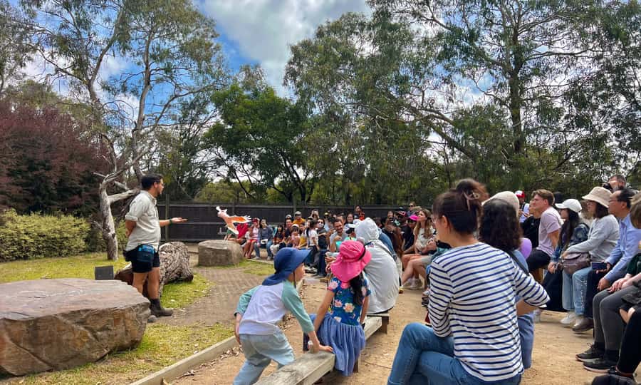 From Melbourne: Phillip Island Penguin Parade Eco Tour - Who will enjoy this Phillip Island tour most