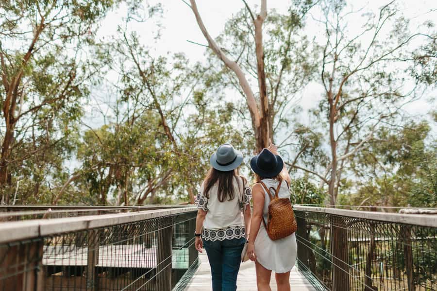 From Melbourne: Phillip Island Penguin Parade & Koalas Tour - Useful ways to get more from the day