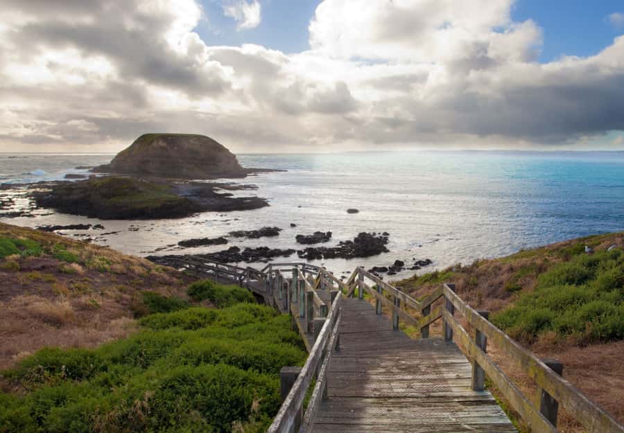 From Melbourne: Puffing Billy and Penguin Parade Combo Tour - The drive toward Phillip Island