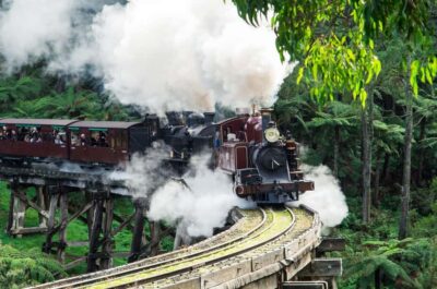 Puffing Billy and Penguin Parade Combo Tour