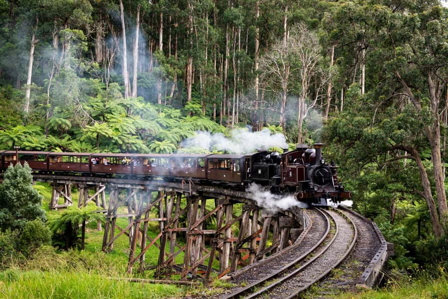 From Melbourne: Puffing Billy Train & Penguin Wildlife Tour - Riding Puffing Billy through the Dandenong Ranges