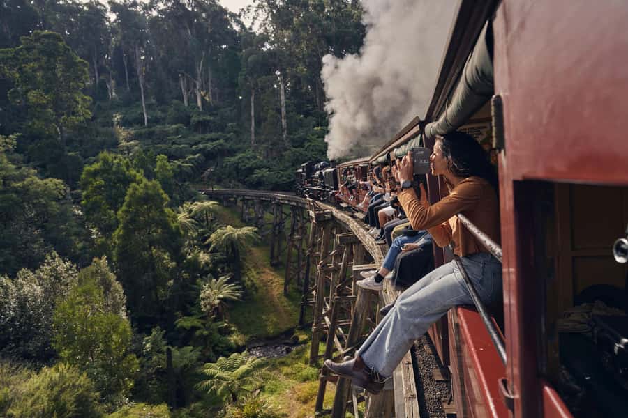 From Melbourne: Puffing Billy Train & Penguin Wildlife Tour - Meeting the guide in central Melbourne