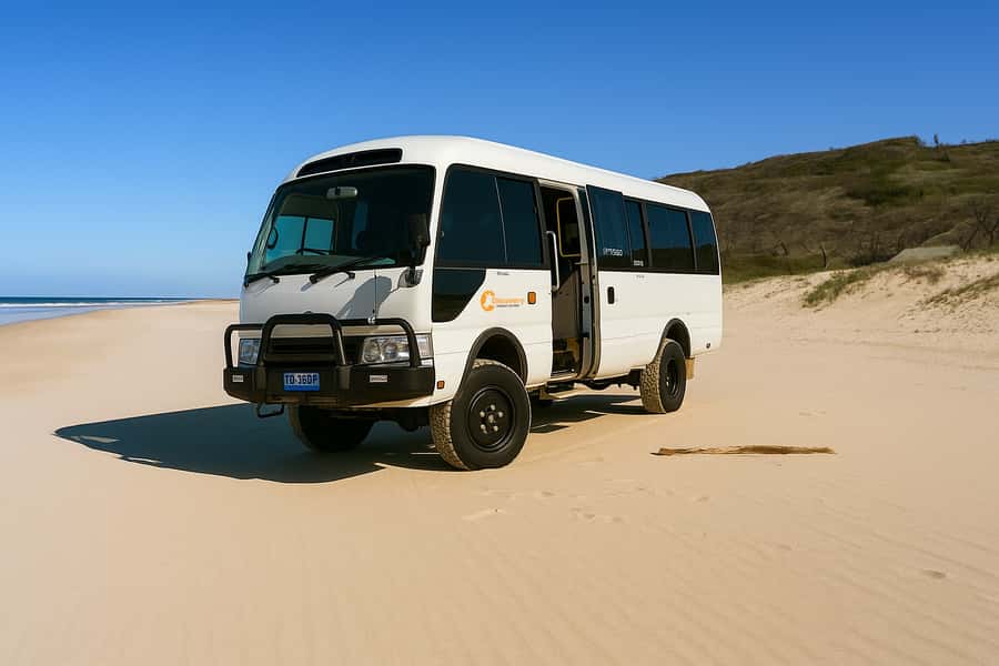 From Noosa: K'gari (Fraser Island) Small-Group Tour - Eli Creek: shallow water and a quick reset