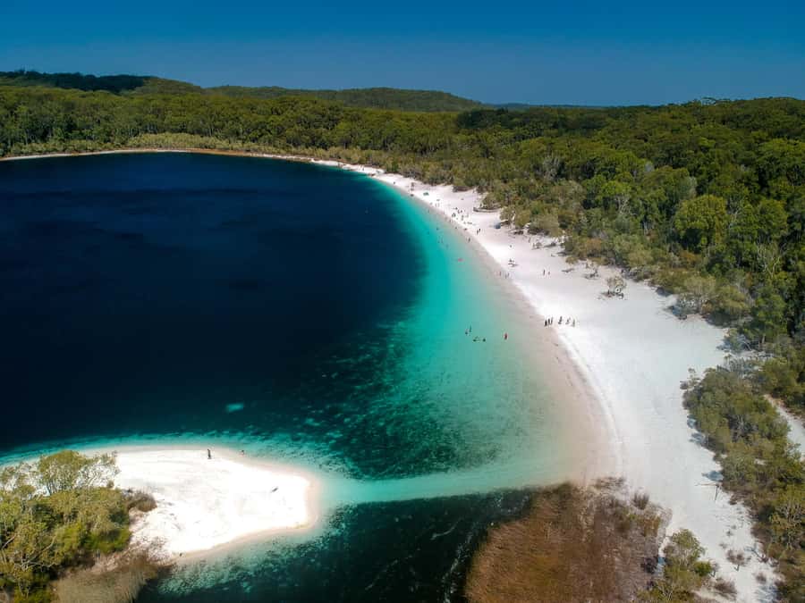 From Noosa: K'gari (Fraser Island) Small-Group Tour - Lake McKenzie, the day’s main reward