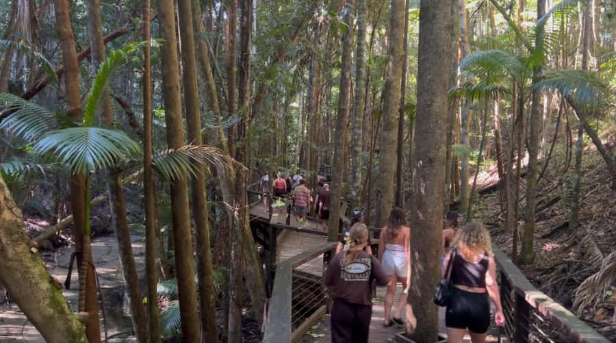 From Noosa: K'gari (Fraser Island) Small-Group Tour - Central Station and Wanggoolba Creek