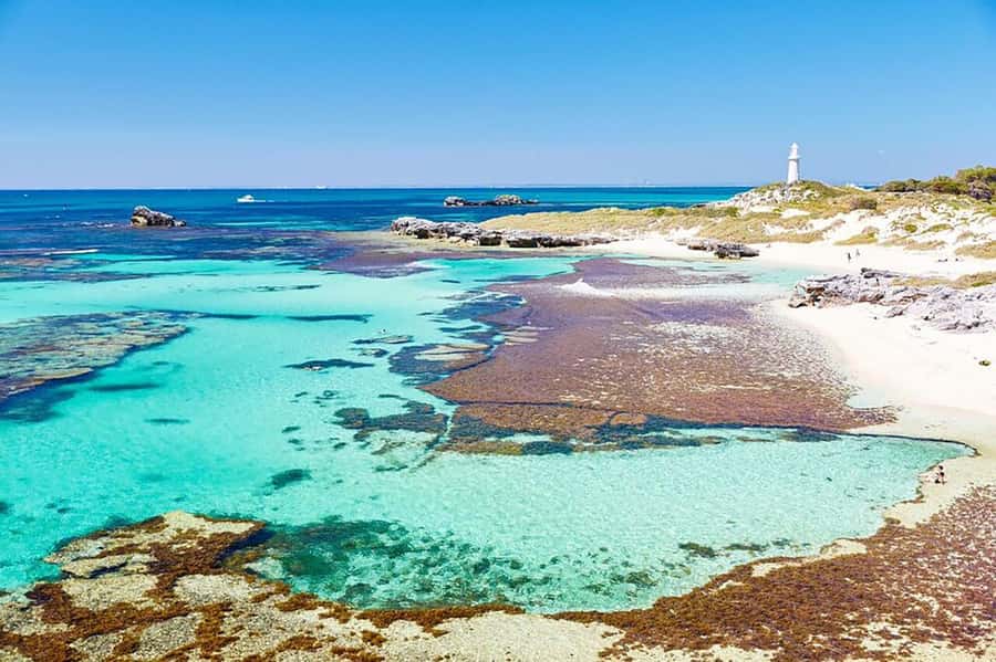 From Perth or Fremantle: Rottnest Island Ferry and Bus Tour - Why this is a smart first visit to Rottnest Island