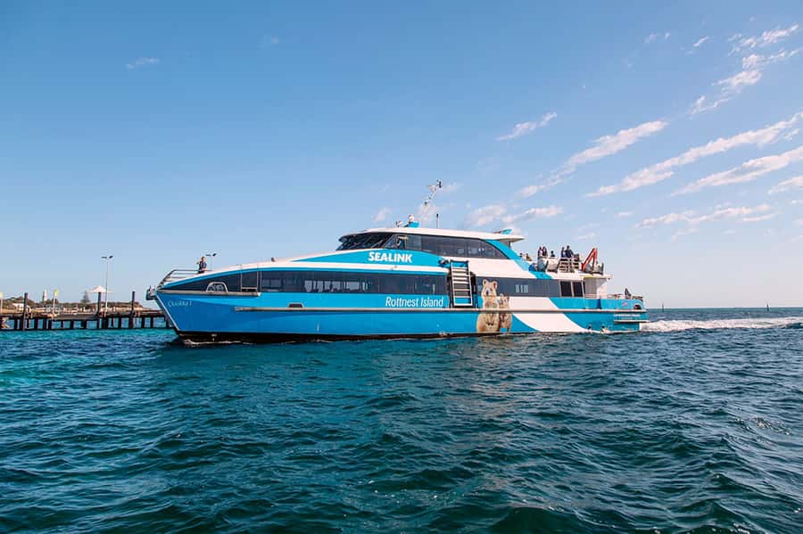 From Perth or Fremantle: Rottnest Island Ferry and Bus Tour - Practical details that affect the day