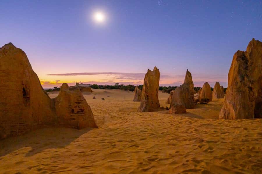 From Perth: Pinnacles Sunset and Stargazing Tour with Dinner - Should you book it?