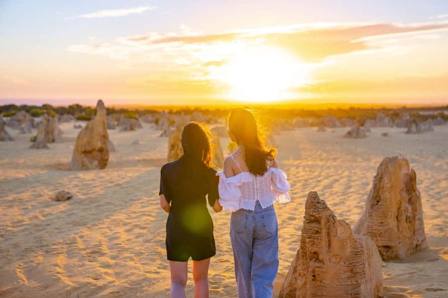 From Perth: Pinnacles Sunset and Stargazing Tour with Dinner - Is $130 good value for a nine-hour day?