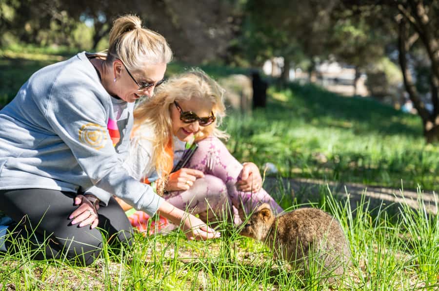 From Perth: Rottnest Island Full-Day Bike and Ferry Trip - Key points at a glance