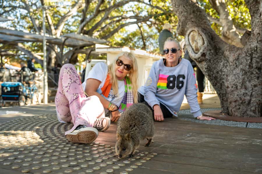 From Perth: Rottnest Island Full-Day Bike and Ferry Trip - What the $84 price really covers