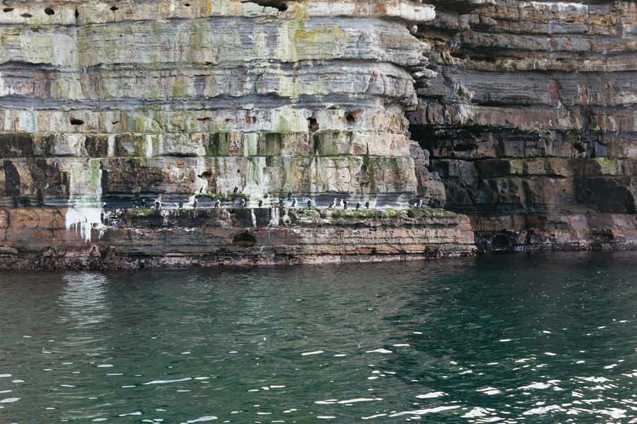 From Port Arthur: Tasman Island Wilderness Cruise - Practical preparation for departure day