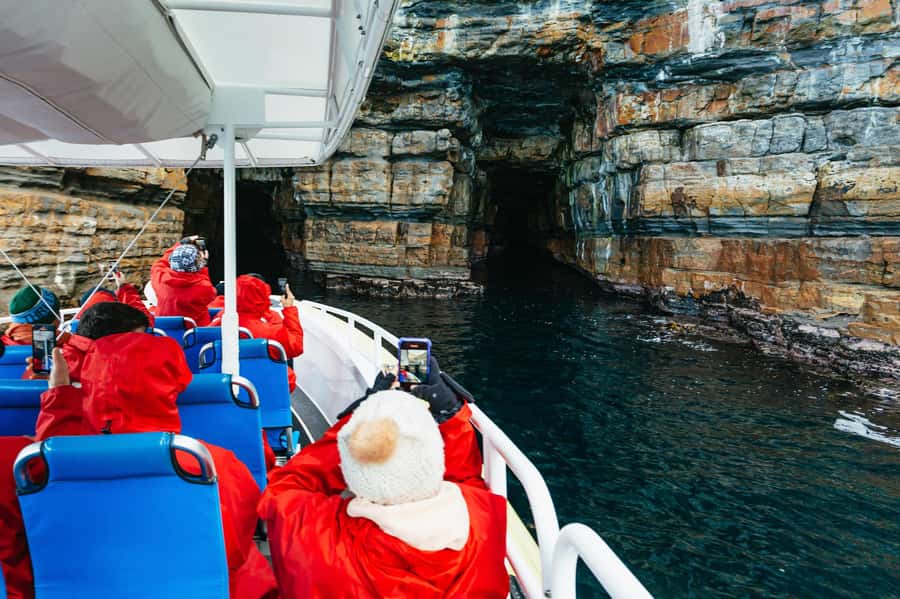 From Port Arthur: Tasman Island Wilderness Cruise - The Tasman coast in three fast-moving hours