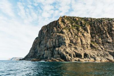 Tasman Island Wilderness Cruise