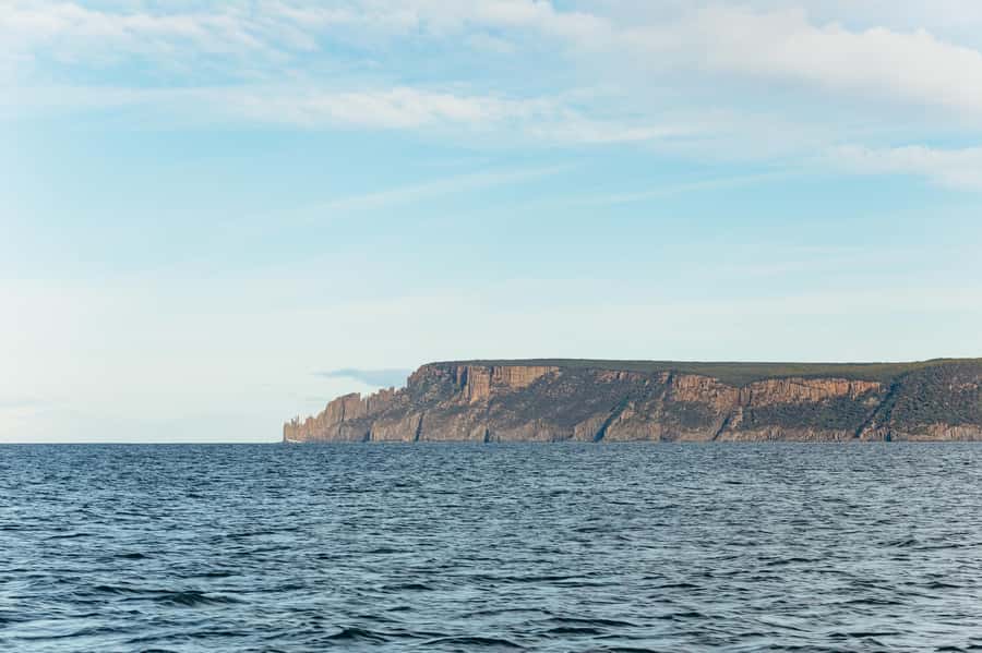 From Port Arthur: Tasman Island Wilderness Cruise - Seals, dolphins, birds, and seasonal whales