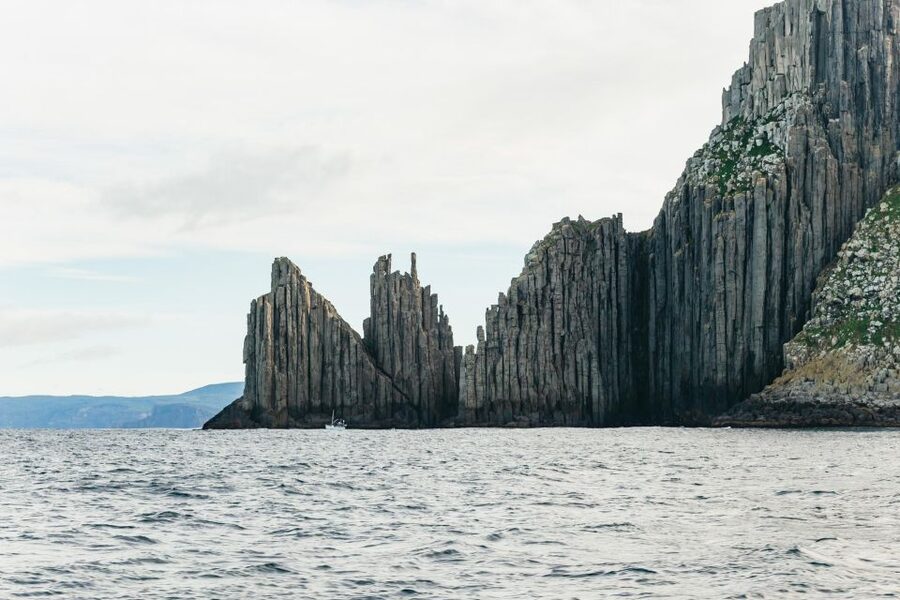 From Port Arthur: Tasman Island Wilderness Cruise - Commentary, safety, and the crew