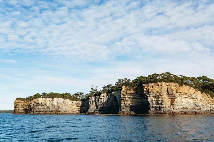 From Port Arthur: Tasman Island Wilderness Cruise - Who will enjoy this most?