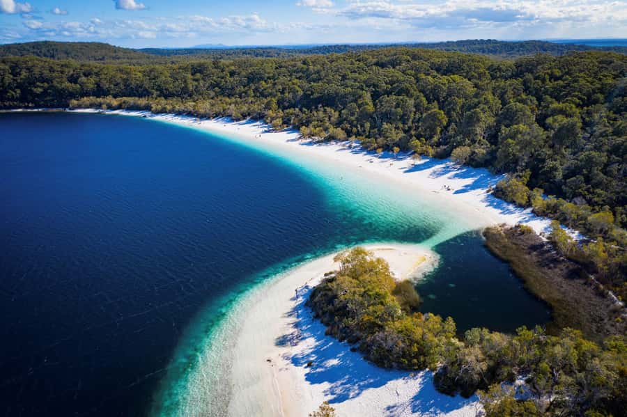 From Rainbow Beach: K'gari Fraser Island Full-Day Coach Tour - Lake McKenzie: the day’s most wanted swim