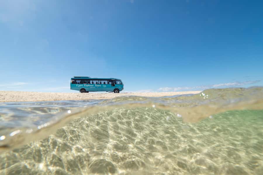 From Rainbow Beach: K'gari Fraser Island Full-Day Coach Tour - What the guide adds to a long day