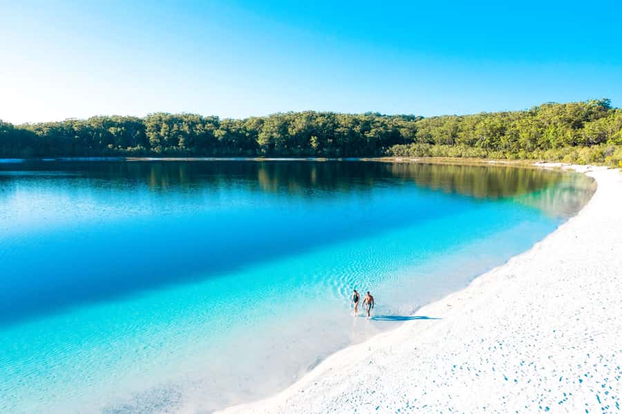 From Rainbow Beach: K'gari Fraser Island Full-Day Coach Tour - Is $184 good value?